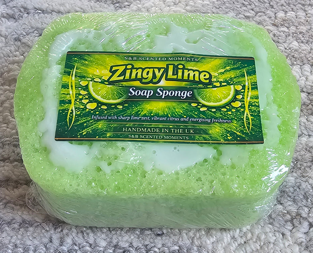 Mini Soap Sponge Collection