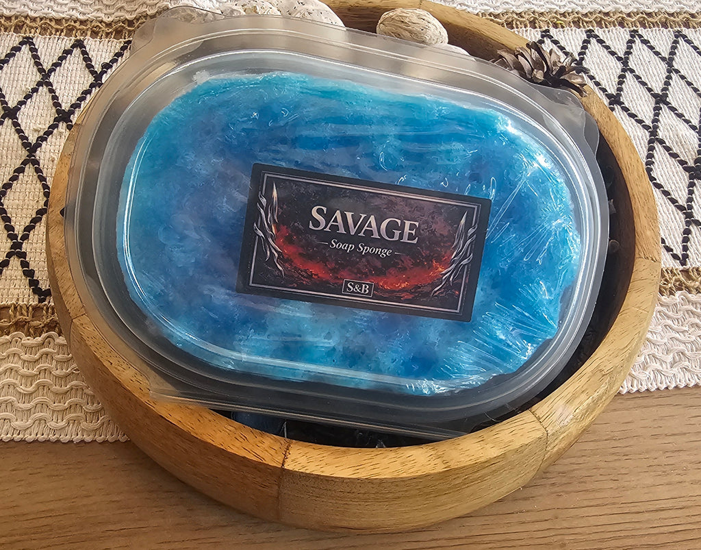 Soap Sponge protective clamshell for travelling
